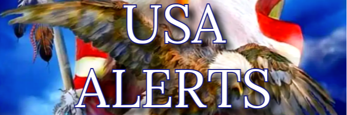 USA Alerts banner picture